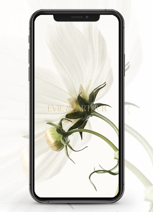 Wedding Tips: A smartphone with a wedding website pulled up that says 