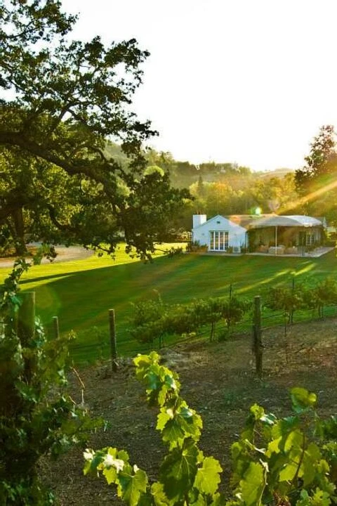 Triunfo Creek Vineyards