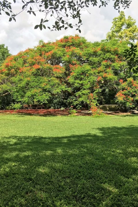 Patch of Heaven Gardens