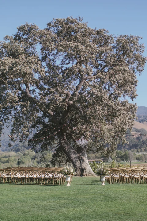 Cloudless Weddings
