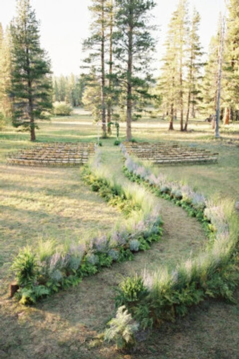 Mitchells Meadows